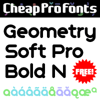 Geometry Soft Pro Bold N