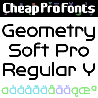 Geometry Soft Pro Regular Y